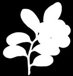 (LUOVA), luonto (LUONTO), poro (PORO) LUONTO 1821 Juntunen Vesa LUONTO1720 Juntunen Vesa LUONTO1619 Juntunen Vesa PORO 1821 Jääskö Outi PORO 1720 Jääskö Outi PORO 1619 Magga Leena Pohjoissaamen