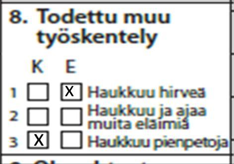 10 Todettu muu työskentely