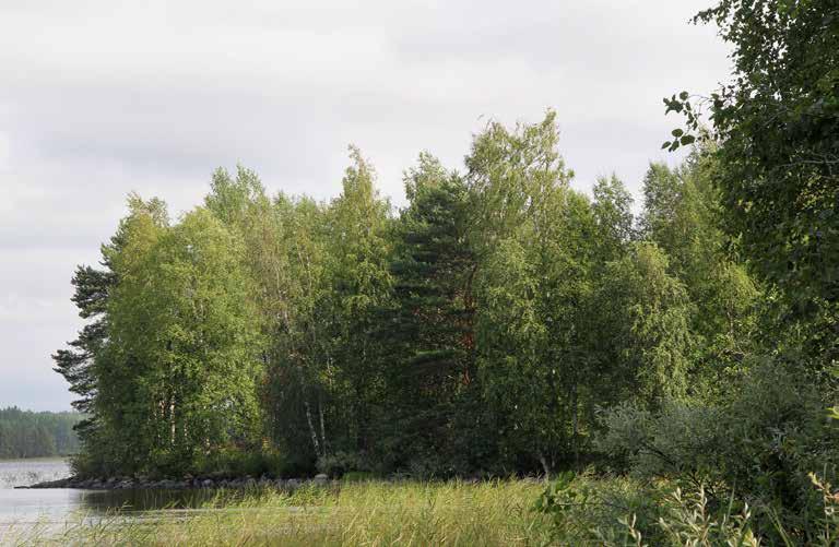 Pappi kulki suostuttelemassa kyläläisiä, kehotti heitä saapumaan sunnuntaisin ja juhlapäivinä Herran huoneeseen rukoilemaan, mutta työ osoittautui turhaksi.