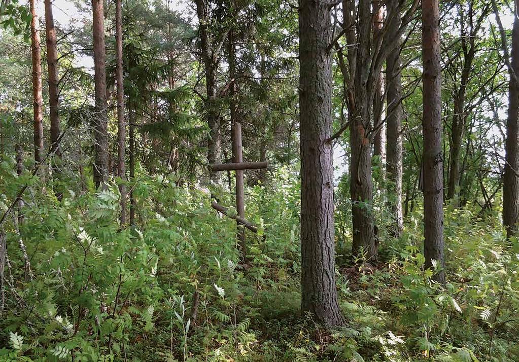 84 N:o 5 6 N:o 5 6 85 OSA 1/2 Tällaista oli maalaispapin elämä 1800-luvun Kiimasjärvellä TUULIKKI HALLA Uusi pappi otti ohjat käsiinsä Kiimasjärven kylässä kirkon paikalla on enää puinen risti, ja