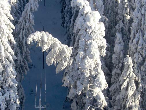 Turvallisuuskampanjat, kyberturvallisuuden systemaattinen kehittäminen ja EU:n tietosuoja-asetuksen vaatimuksiin valmistautuminen ovat kaikki erinomaisia esimerkkejä riskienhallinnan toimenpiteistä,