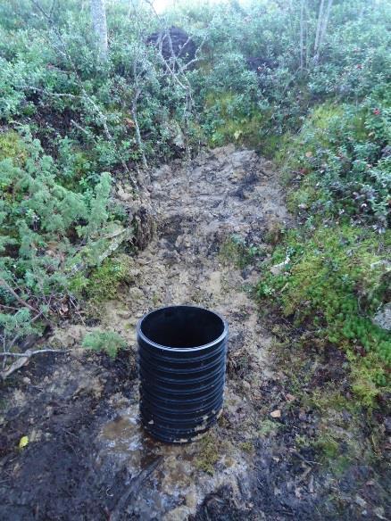 Purkautuvan pohjaveden määrä järven pohjasta suotautumismittarilla (Seepage-meter). Purkautuvan pohjaveden laatu.