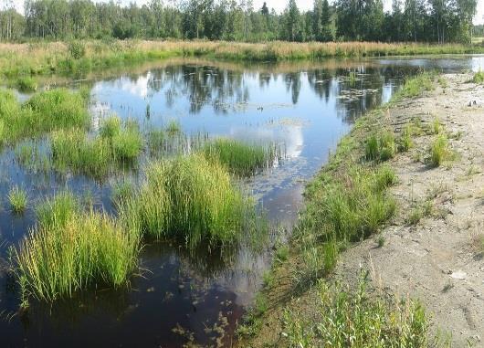 Metsäkeskus Kosteikkojen, pintavalutuskenttien ja virtaushidastimien teko käynnistynyt neljällä kohteella 2016 2017,