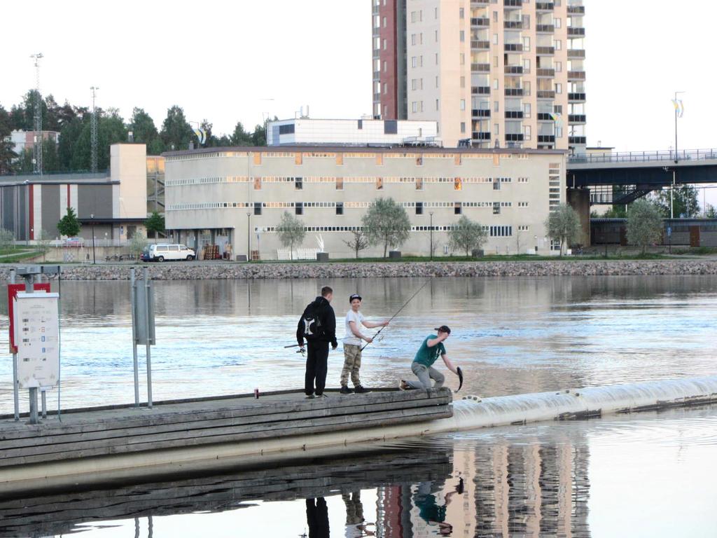 JOENSUUN TÄYDENNYSRAKENTAMISOHJELMA 2. MUKAVA JA ELINVOIMAINEN KAUPUNKI 2 Täydennysrakentamisella luodaan kaunista, vireää, viihtyisää ja monimuotoista kaupunkia.