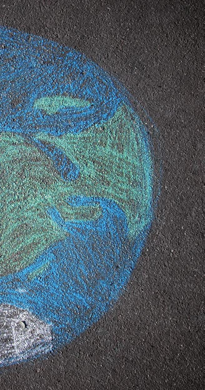 FISTA Tampereen kansainvälinen koulu (Finnish International School of Tampere) noudattaa suomalaista opetussuunnitelmaa. Opetuskielenä koulussa on suomen lisäksi englanti.