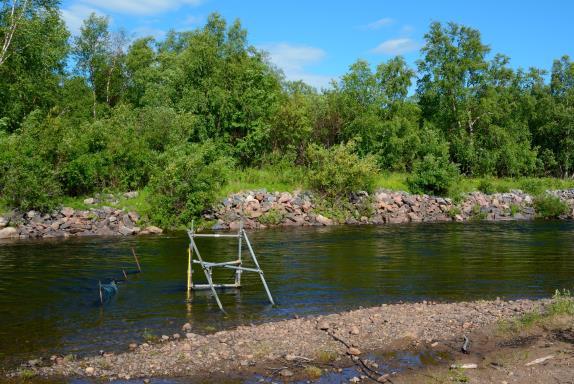 systeemi, lasketaan noin yksi Tenon sivujoki