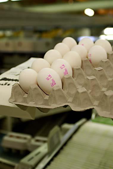 Muiden tuottamien eläimistä saatavien alkutuotannon tuotteiden myynti vaatii elintarvikehuoneiston Voit ottaa myyntiin toiselta tuottajalta muita linnunmunia kuin kananmunia Toisen tilan tuottamia