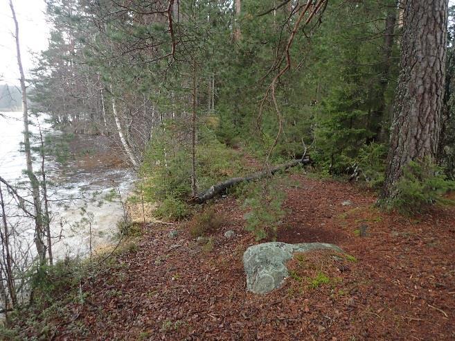 6 Tulos Rantakaava-alueella ei ole kiinteitä muinaisjäännöksiä eikä muita