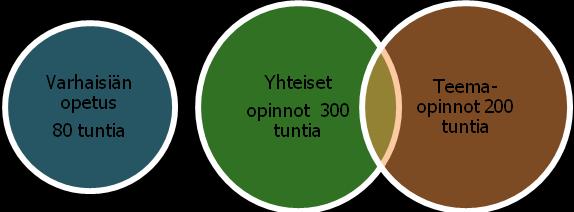 37 18 OPETUKSEN RAKENNE JA LAAJUUS Taiteen perusopetuksen yleisen oppimäärän laskennallinen laajuus on 500 tuntia, josta yhteisten opintojen laskennallinen laajuus on 300 tuntia ja teemaopintojen 200