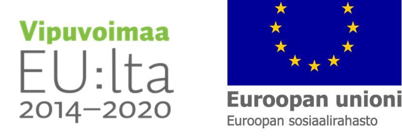 aikataulun lisäksi EU-tason tukitoimia kansainvälisen yhteistyön aikaan saamiseksi ja muun muassa kansainvälisten kumppanien haun helpottamiseksi.