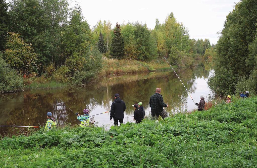 Ympäristökasvatus koiluille 20 tie Lapinjärvellä. Näillä kalateillä ja sivujokien pienemmillä kalateillä on käyty tarkastamassa niiden toimintakunto.