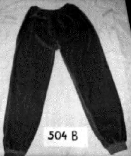 kuva n:o 504 A) (*) b) housut, valmistettu yksivärisestä neuloskankaasta (80 % puuvillaa, 20 % polyamidia) samettijäljitelmää, jotka ulottuvat vyötäröltä nilkkoihin, jotka eivät ole vyötäröstä
