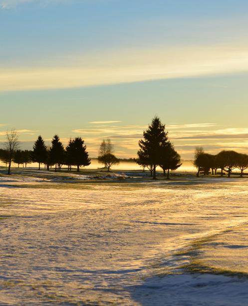 Kuva: Vesa Palosaari Vaasan Golf 