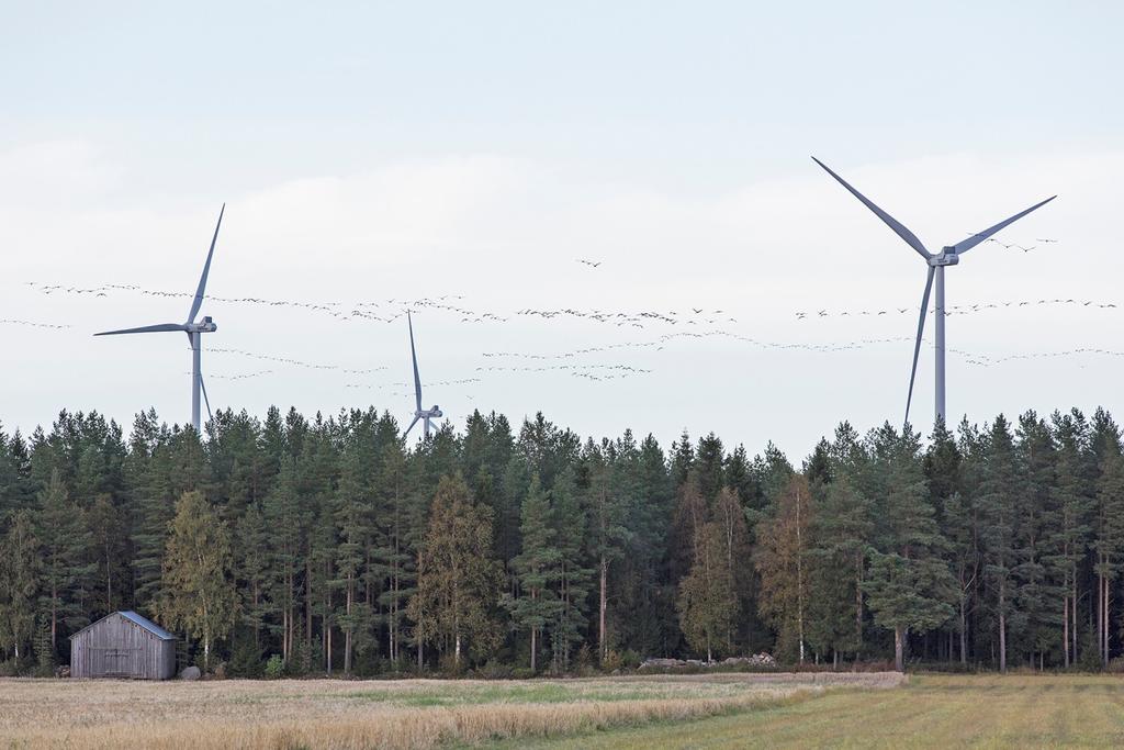 Kalajoki Pyhäjoki tuulivoimapuistot 40 (41) puistojen alueella sekä niiden ympäristössä.