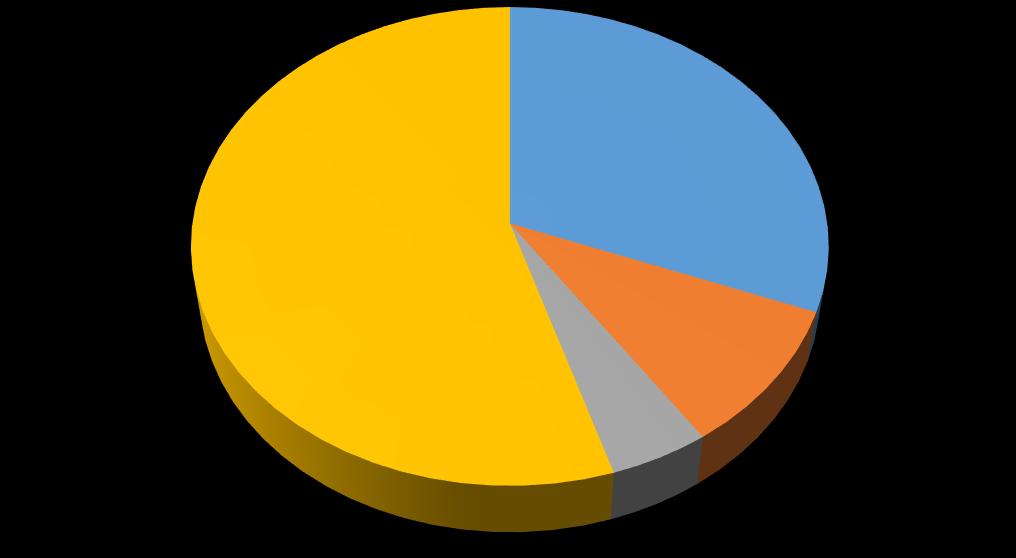 6 Toimintatuotot Myyntituotot; 205090; 31 % Muut toimintatuotot; 363696; 55 % Maksutuotot;