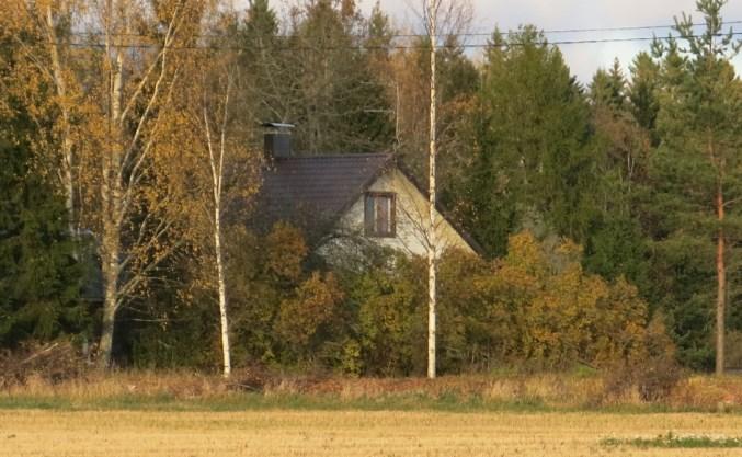 Muilta osin se on rakentamatonta peltoa ja talousmetsänä