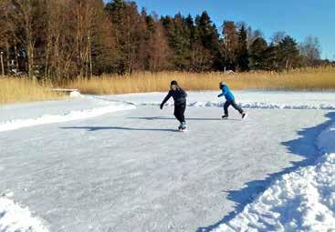 Kevään aikana on tulossa saunoihin uudet kiukaat ja pientä pintaremonttia, joka saattaa aiheuttaa järjestelyjä sauna-aikoihin sekä vain yhden saunan käyttöön.