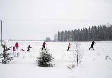 Kevään kuluessa pidetään muutamat risutalkoot sekä kevätsiivoustalkoot, jotta saadaan paikat taas siistiin kuntoon vierailijoita ja tietysti myös omaa väkeä ajatellen.