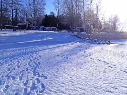 Yhteiselle kävelylenkille lähti muutama innokas kävelijä. Mikä sitä oli kävellessä, kun oli hieno aurinkoinen päivä. Pakkasta oli jonkun verran, mutta ei se tahtia haitannut.