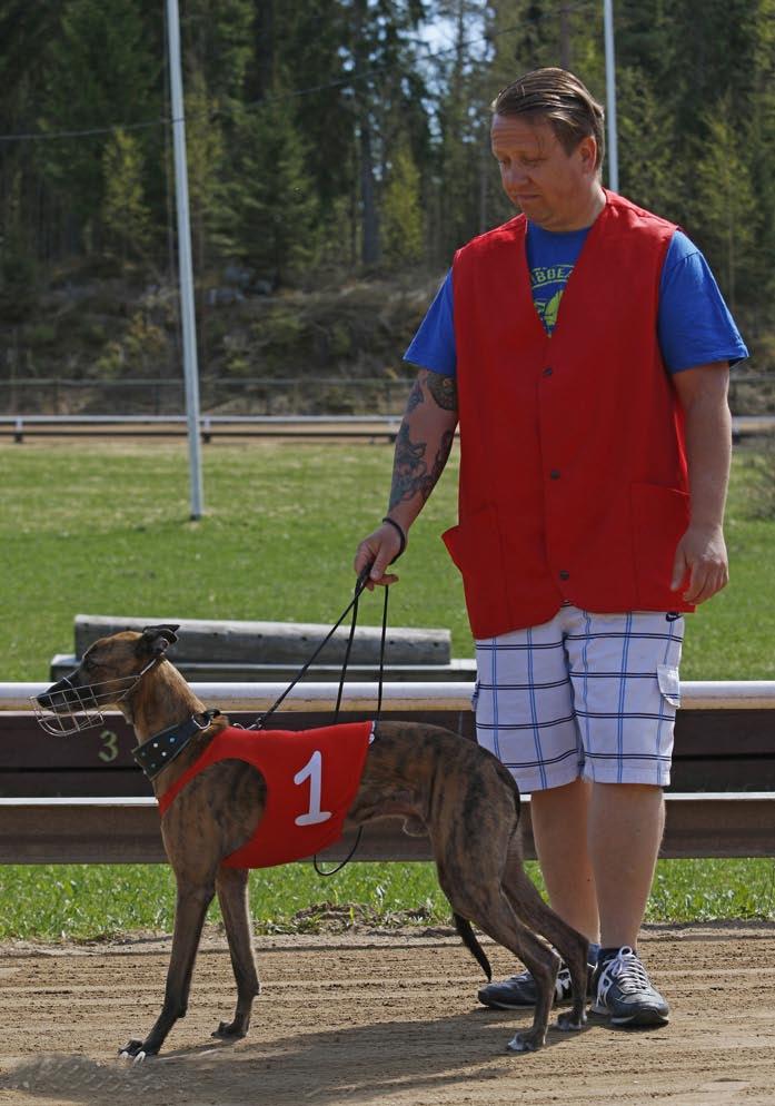 Whippet Hill s-sijoitus 280 m 1. Sylvester Stallone 14,4 (4) 18.25 L1 2. Hooligan 15,8 (1) 18.55 L2 3. Kamagurka 18,0 (2) 18.58 L2 4. Candyking 17,4 (3) 18.63 L2 5. Jali 18,0 (5) 18.66 L2 6.