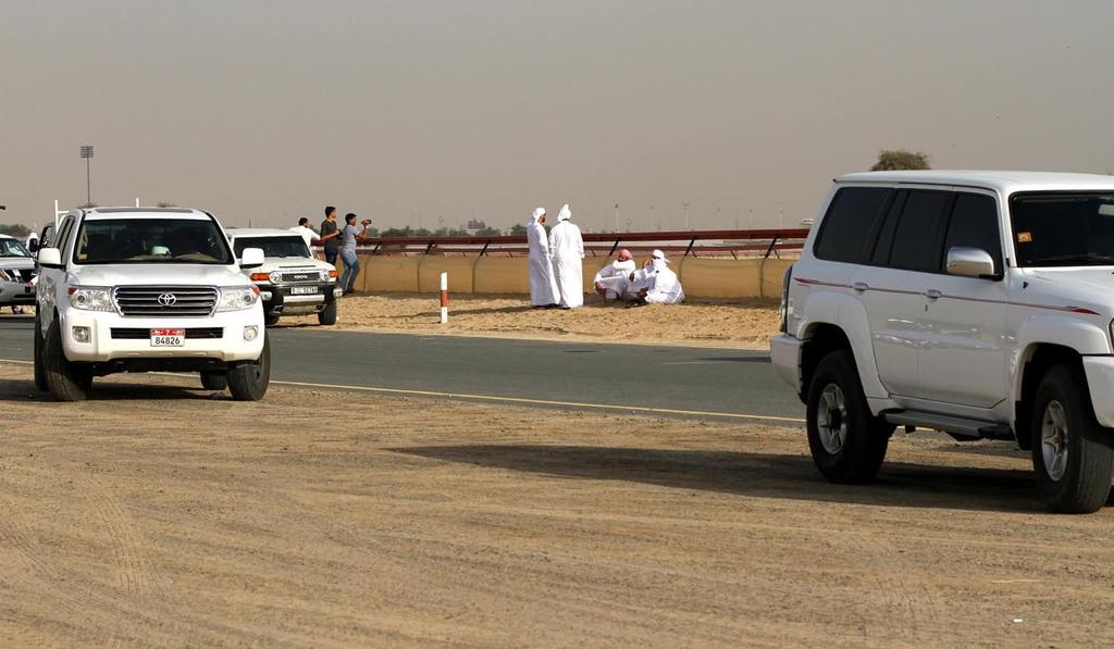 Auto on oleellinen väline Dubain eksoottisessa racingissa. Osa koirista matkaa omistajiensa mukana esim. Saudeihin tai Afrikkaan metsästämään joksikin aikaa, ne kun ovat luotuja metsästämään.