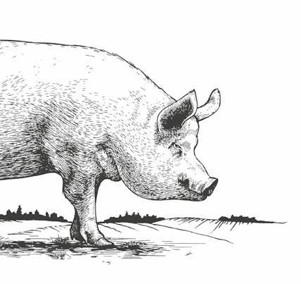onnistuneet erittäin hyvin.