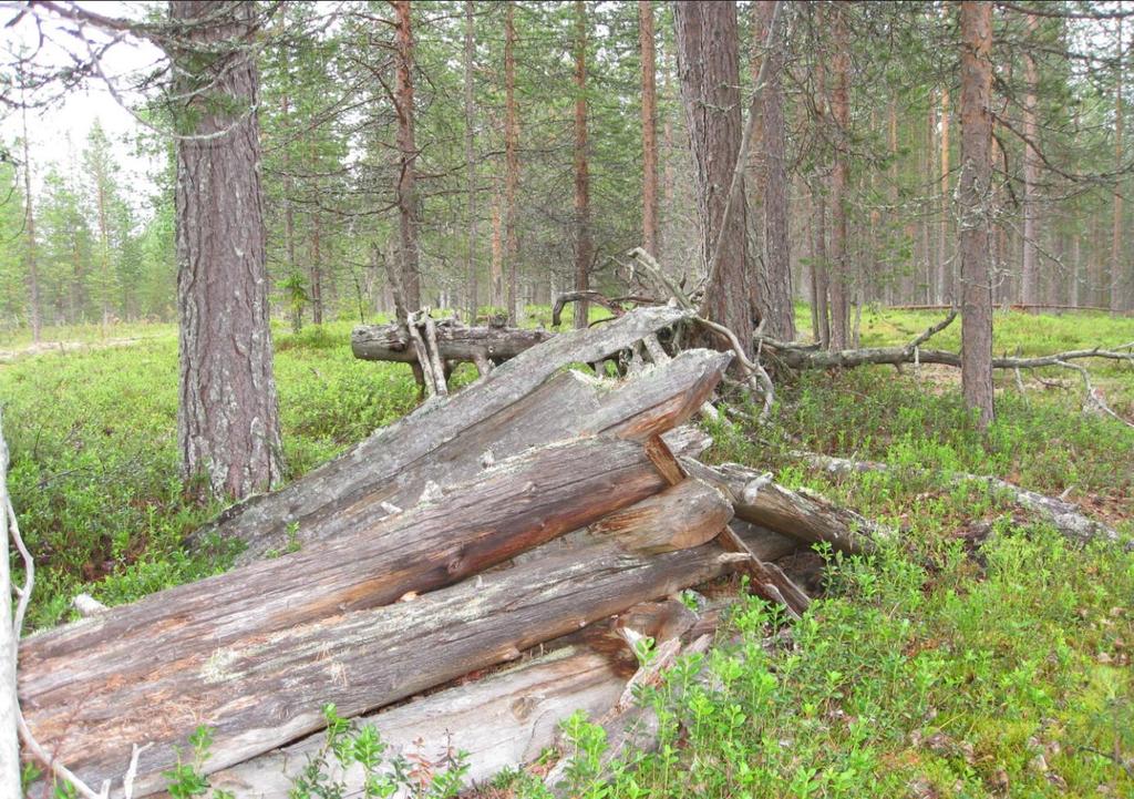 Metsähallituksen luonnonvarasuunnittelu Lapissa 2018-2019 *)