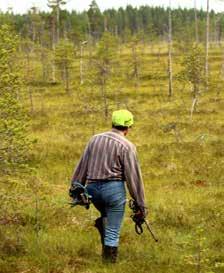kankaalla, järven rannassa tai