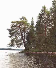 ympäristöön.