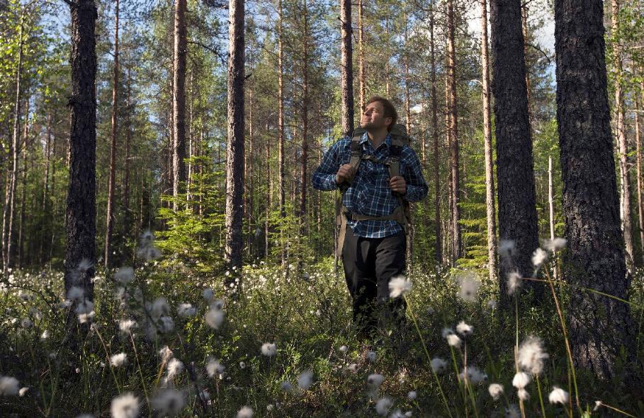 Kirjastojen aukioloajat muutettiin erillispäätöksellä iltapainotteiseksi, ja koko henkilöstön työpanosta tarvittiin sujuvuuden kannalta.