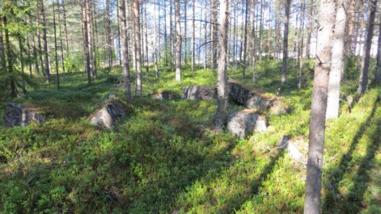 Selvityksen mukaan suunnittelualueen ympäristö on pääosin rakentunutta teollisuus- ja