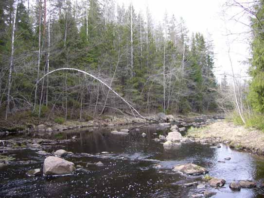 Kuva 23. Seinäjoki virtaa Isosaaren ja Hoikkasaaren välistä.