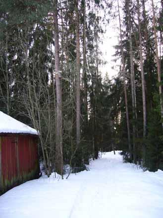Jaskarin ulkorakennuksen