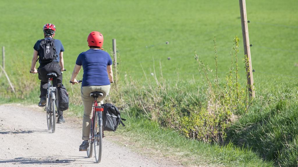 Järjestöt maakunnan kumppaneina