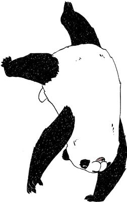 Tervetuloa tutkimaan koulua WWF:n kanssa!