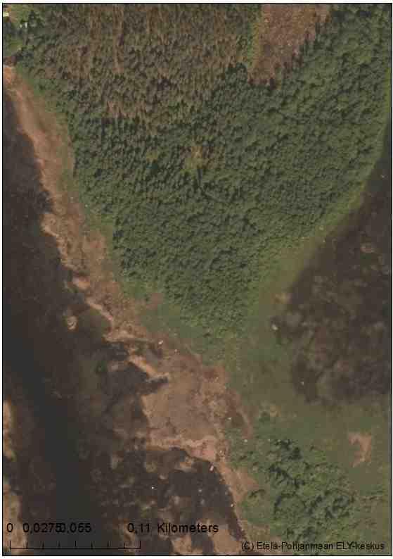 Kohde 8 (Björnholmen eteläosa) Pinta-ala: 1,4 ha Yleisarvosana: III