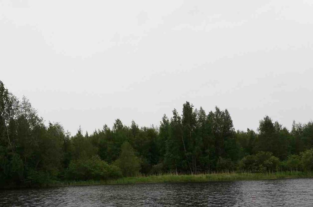 sijaitsee lähellä metsäreunaa.