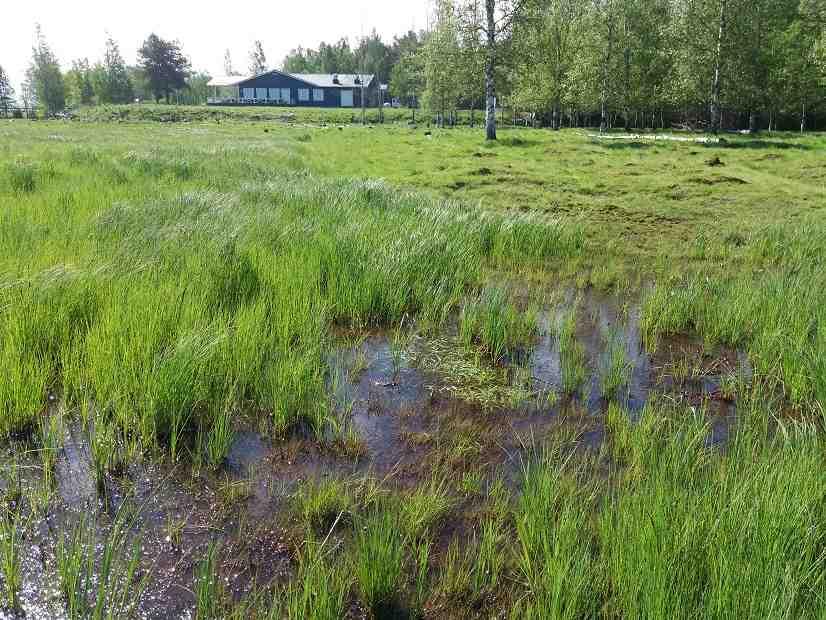 Alue soveltuu hyvin laidunnukseen ja liikenne yhteyden ovat hyvät.