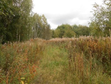 VIITASAAREN KAUPUNKI Kaavaselostus - EHDOTUS 6 (25) 3 LÄHTÖKOHDAT 3.1 