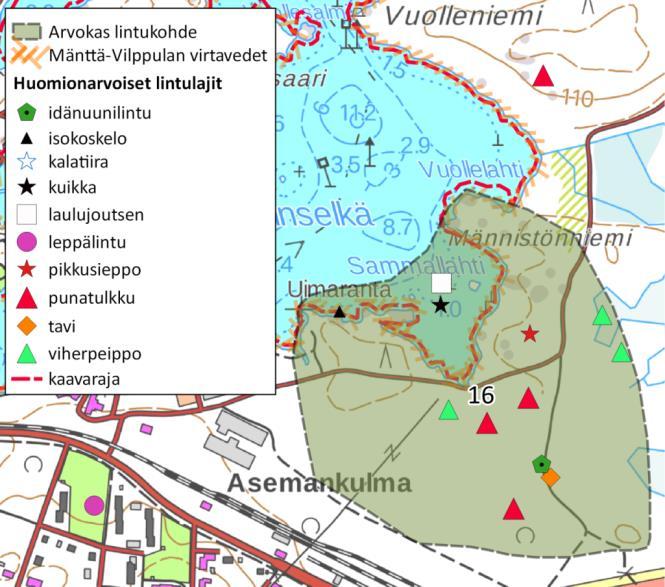 Asemankulman metsät Asemankulman Männistönniemen välisellä alueella ( Kuva 21) on varttunutta kuusikangasmetsää sekä eri-ikäisiä lehtipuuvaltaisia lehtoalueita.