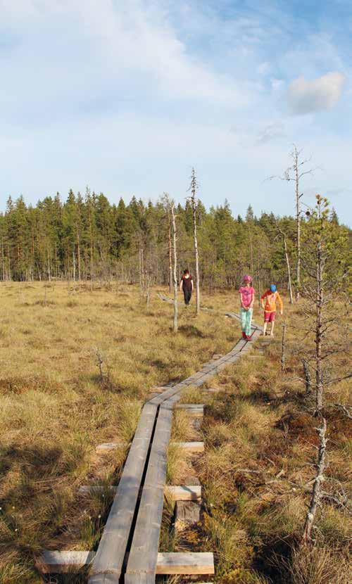 POLULTA POLULLE 2018 Osallistujat saavat polkuretkipassin ja siihen leiman jokaisesta osallistumisesta seuraaviin polkuretkiin: 6.5.