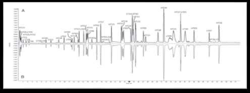 Far-UV Circular dichroism (CD) Primary structure; LC-MS peptide mapping