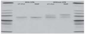 activity; binding and neutralisation of stnfa SEC Fourier transform