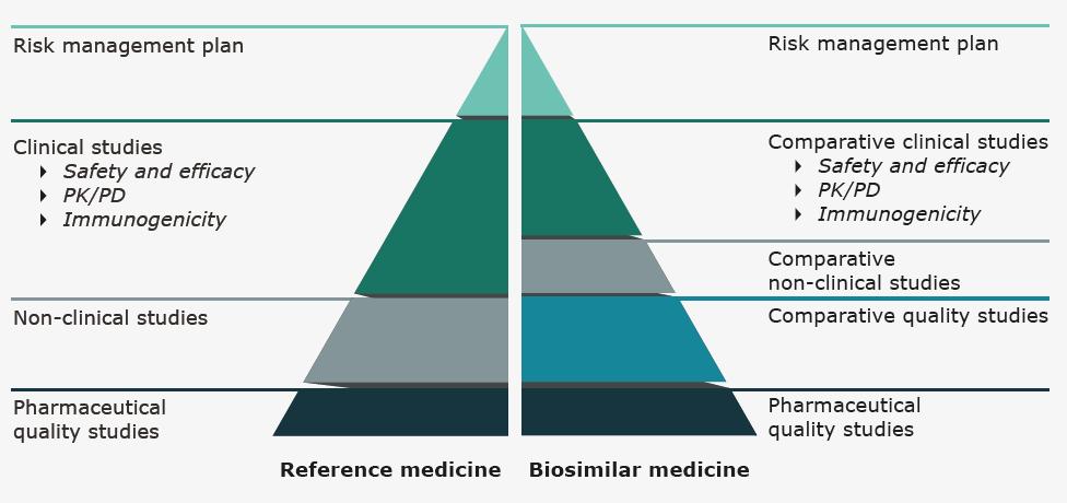 Understanding biosimilars requires a cultural and cognitive change * Picture: EMA/EC Information guidance for health care