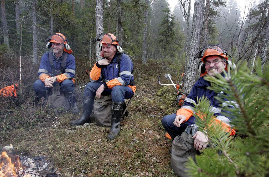 Kuva: Jari Salonen 5.3.4. Metsähallitus Metsätalous Oy Metsähallitus Metsätalous Oy on osa Metsähallituksen liiketoimintaa. Se on uuden Metsähallitusta koskevan lain myötä 15.4.2016 perustettu, kokonaan Metsähallituksen omistama tytäryhtiö.