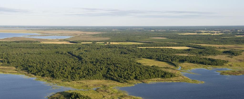 Kuva: Jari Peltomäki Metsähallituksen hallinnassa oleva kokonaismaa-ala on Pohjanmaalla lähes miljoona hehtaaria.