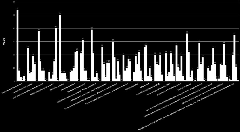 Digitalisaatiokysely 18 Mitä