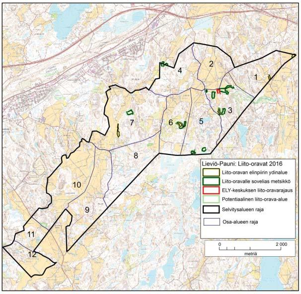 Liito-oravaselvitys 2016 Keväällä 2016 tehty liito-oravaselvitys kohdennettiin osayleiskaavaluonnosten mukaisille muuttuvan maankäytön alueille sekä niiden välittömiin lähiympäristöihin.