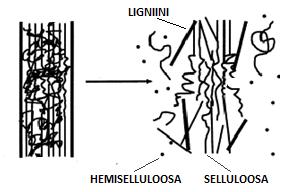 9 Zhang et al. 2011) Osa hemiselluloosasta voi hajota myös puun esikäsittelyn aikana, joten tätä tulisi edeltää hemiselluloosan esierotus tai -hydrolyysi (Zhang et al. 2011). 2.2.1 Puuperäisen biomassan esikäsittely Puuperäisen biomassan esikäsittelyn tarkoituksena on saada hydrolyysistä parempi sokerisaanto.