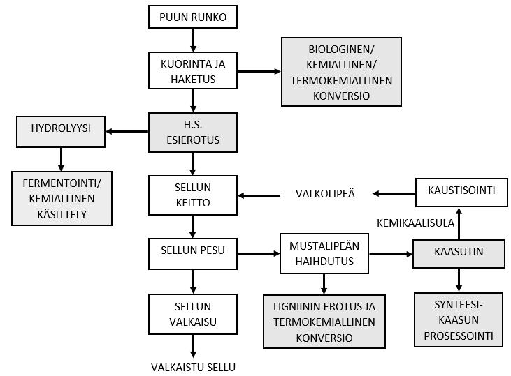 34 3.2 Integroitu metsäbiojalostamo Integroidun metsäbiojalostamon toteutuksessa on suoritettava huolellinen systeemianalyysi, jolla arvioidaan jälkikäteen asennettavien biojalostusprosessien